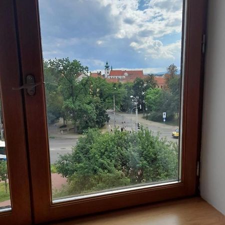 Apartament Riegrova Czeskie Budziejowice Zewnętrze zdjęcie