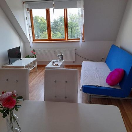 Apartament Riegrova Czeskie Budziejowice Zewnętrze zdjęcie