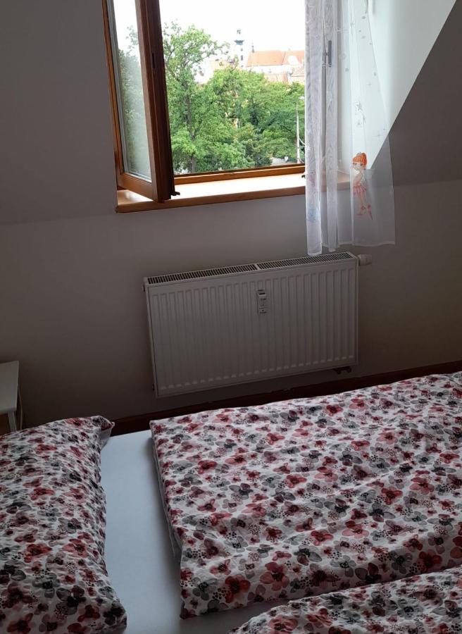 Apartament Riegrova Czeskie Budziejowice Zewnętrze zdjęcie