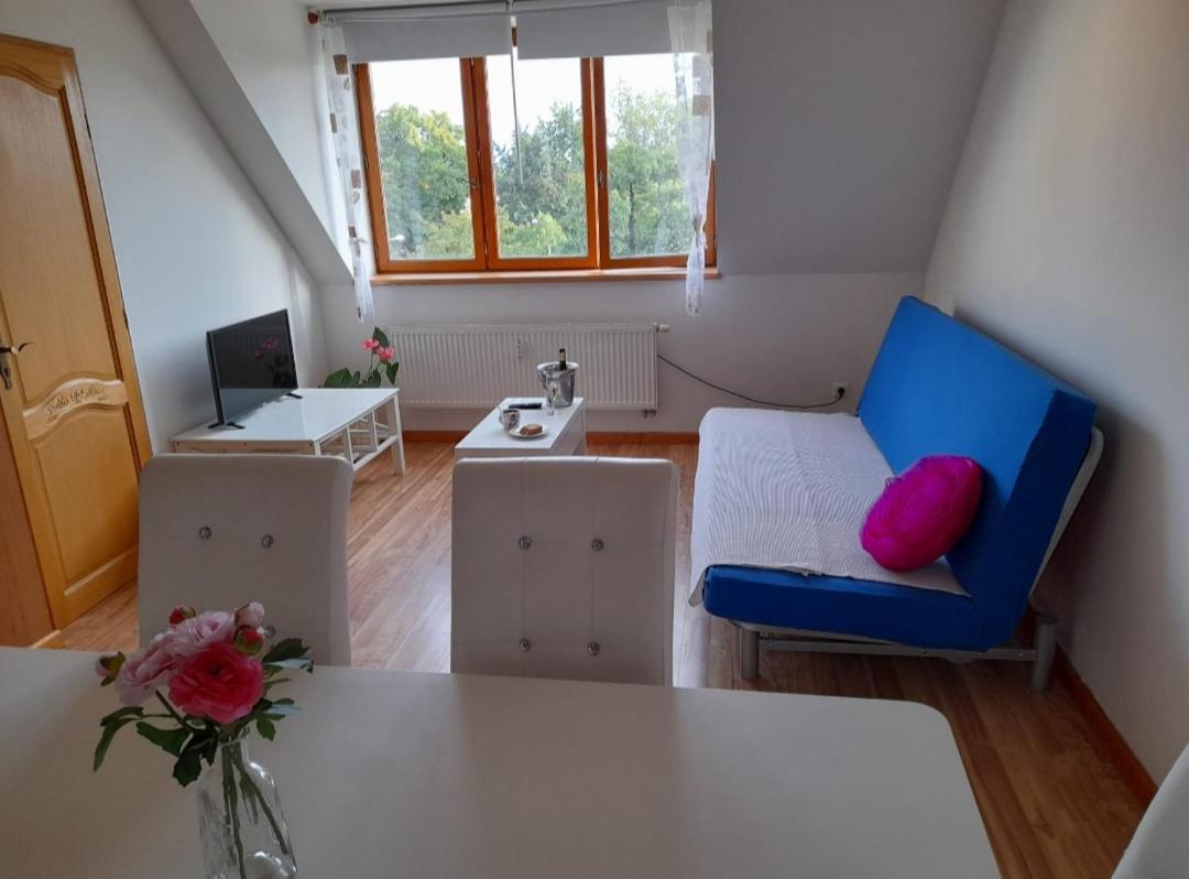 Apartament Riegrova Czeskie Budziejowice Zewnętrze zdjęcie